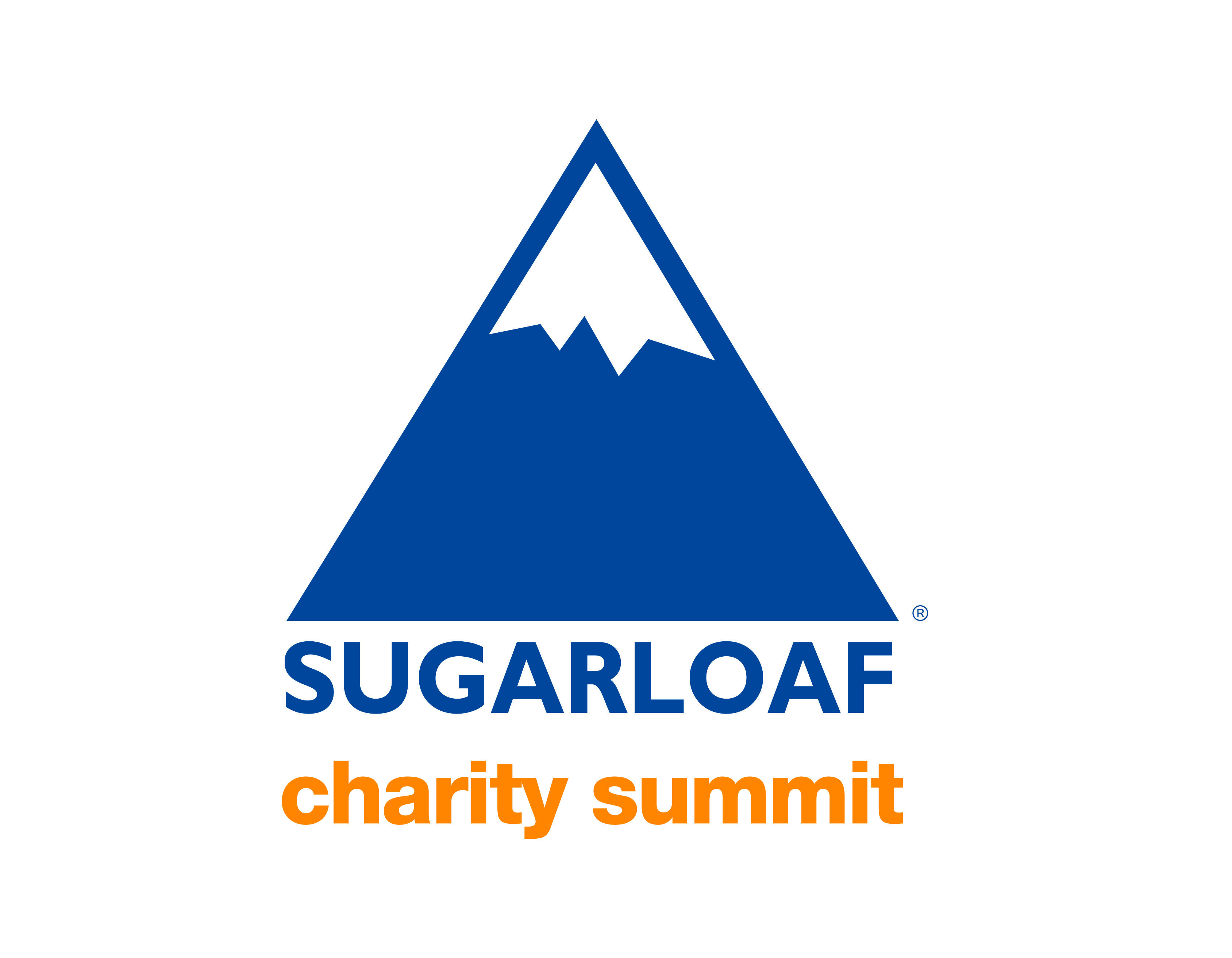 TIMED ONLINE AUCTION SUGARLOAF CHARITY SUMMIT  Auction