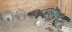 REAL ESTATE & EQUIPMENT RE: SHERMAN LUMBER COMPANYCatalog Available Auction Photo