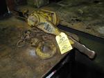 REAL ESTATE & EQUIPMENT RE: SHERMAN LUMBER COMPANYCatalog Available Auction Photo