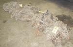 REAL ESTATE & EQUIPMENT RE: SHERMAN LUMBER COMPANYCatalog Available Auction Photo