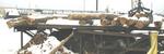 REAL ESTATE & EQUIPMENT RE: SHERMAN LUMBER COMPANYCatalog Available Auction Photo