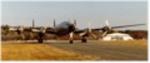Public Auction, (3) Lockheed Constellations SOLD! $748,000 Auction Photo