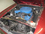 1969 Ford Mustang V8 Auction Photo