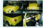1972 Volkswagen Thing Auction Photo