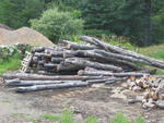 Screening Plant- New Stove Shop Inventory- Pellet Stoves-RE:MAINELY STOVES, SACO, ME Auction Photo