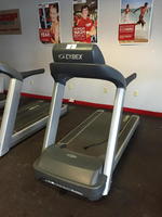 TIMED ONLINE AUCTION LATE MODEL CYBEX FITNESS & SUPPORT EQUIPMENT Auction Photo