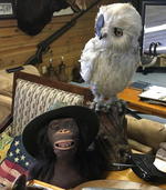ANIMATED OWL & MONKEY Auction Photo