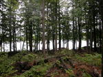 Custom Waterfront Home McWain Pond - SOLD $550,000 Auction Photo