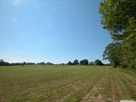MAINE OCEANFRONT - Classic Maine Saltwater Farm Auction Photo