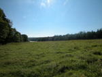 MAINE OCEANFRONT - Classic Maine Saltwater Farm Auction Photo