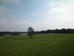 MAINE OCEANFRONT - Classic Maine Saltwater Farm Auction Photo