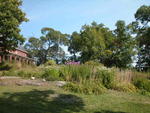 54 Unit Housing Complex Auction Photo