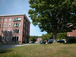 54 Unit Housing Complex Auction Photo