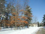 45,000+/-sf. Modern Manufacturing Facility 24.9+/- Acres Auction Photo