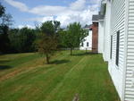 60,000+/- SF Development Property ~ 5.2+/- Acres ~ Former Viking Nursing Care Facility Auction Photo