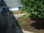 60,000+/- SF Development Property ~ 5.2+/- Acres ~ Former Viking Nursing Care Facility Auction Photo