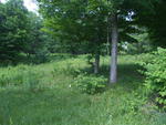 15-Unit Mixed Use Bldg & 3-Br Home - Residential Subdivision Auction Photo
