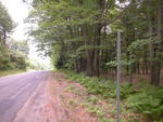 63± Acre Parcel Water Frontage Auction Photo