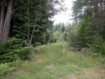 63± Acre Parcel Water Frontage Auction Photo