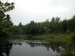 63± Acre Parcel Water Frontage Auction Photo
