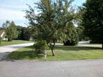 Executive Home and Contents Auction Photo