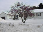 Ranch Style Home Auction Photo