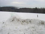 Ranch Style Home Auction Photo