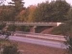 Parcel #10 - Weymouth Rd. - 40+/- Acres