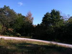Parcel #12 - Busque Blvd. - 15+/- Acres