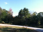 Parcel #12 - Busque Blvd. - 15+/- Acres