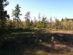 Parcel #15 - Rt. 302 - 1.8+/- Acres