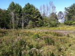 Parcel #5 - Oak Hill - 56.2+/- Acres