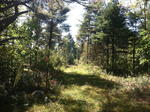 945+/- Acres - Quarry - Gravel Pit - Development Land - Woodlands - Home Auction Photo