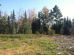 Parcel #5 - Oak Hill - 56.2+/- Acres