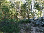 945+/- Acres - Quarry - Gravel Pit - Development Land - Woodlands - Home Auction Photo