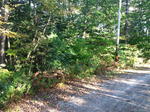 Parcel #7 - Thomas Pond Ter. - 102+/- Acres