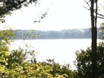Parcel #7 - Thomas Pond Ter. - 102+/- Acres