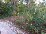 945+/- Acres - Quarry - Gravel Pit - Development Land - Woodlands - Home Auction Photo