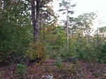 945+/- Acres - Quarry - Gravel Pit - Development Land - Woodlands - Home Auction Photo