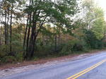 Parcel #8 - Egypt Rd. - 27.86+/- Acres