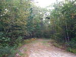 Parcel #8 - Egypt Rd. - 27.86+/- Acres