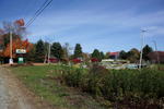 2009