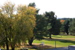 2009