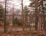 5+/- Acres Eddy Rd.