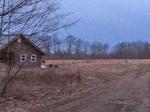 Farmhouse, Barns & 122+/- Acres Auction Photo