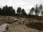 108 Lot Residential Subdivision ~ 530+/- Acres Auction Photo