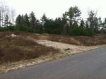 108 Lot Residential Subdivision ~ 530+/- Acres Auction Photo
