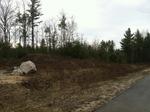 108 Lot Residential Subdivision ~ 530+/- Acres Auction Photo