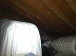 11-Unit Motel w/3BR Owners Quarters Auction Photo