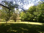 197+/- Ac, Home & Barn - 34+/- Ac on River - Tractor, Trucks, Boat & Contents Auction Photo